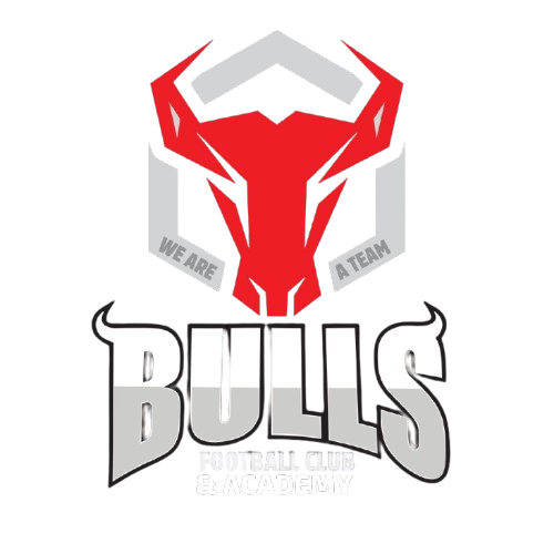 Bulls Logo